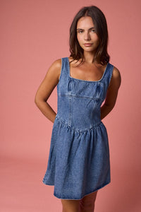 Parker Denim Dress