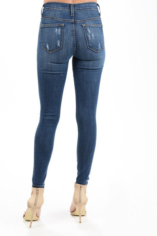 Destroyed Mid-Rise Skinny Jeans Plus